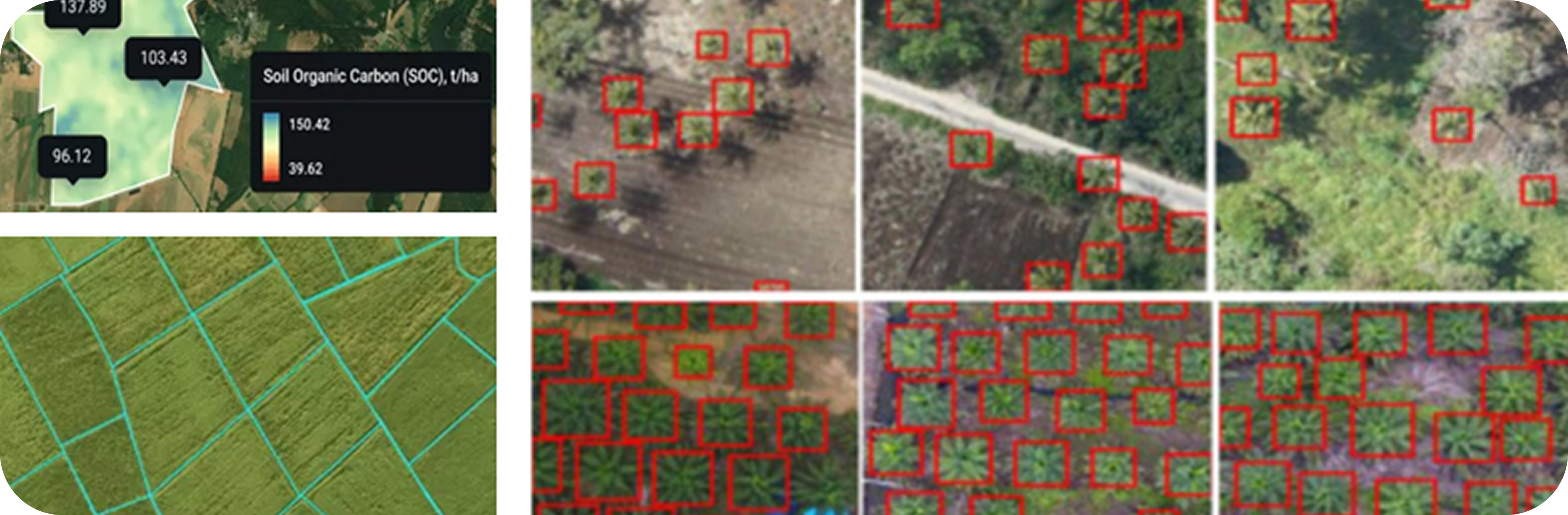 Population Monitoring Grid